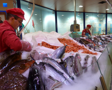 FLAKE ICE FOR FISHERY (2).png