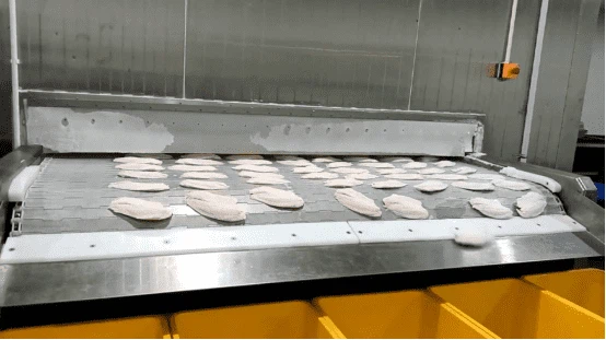 10compressed 10compressed