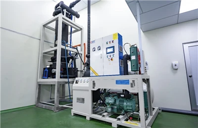 CBFI 10 ton Tube Ice Machine Project di Malaysia