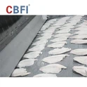 Freezer Terowongan Pelat Rantai 750kg/jam - Landasan Ekspor-Pembekuan Cepat Berkualitas-Untuk Fillet Ikan Indonesia