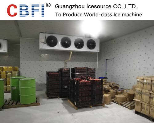Blast Freezer Cold Room Storage For Fishery Beef And Meat